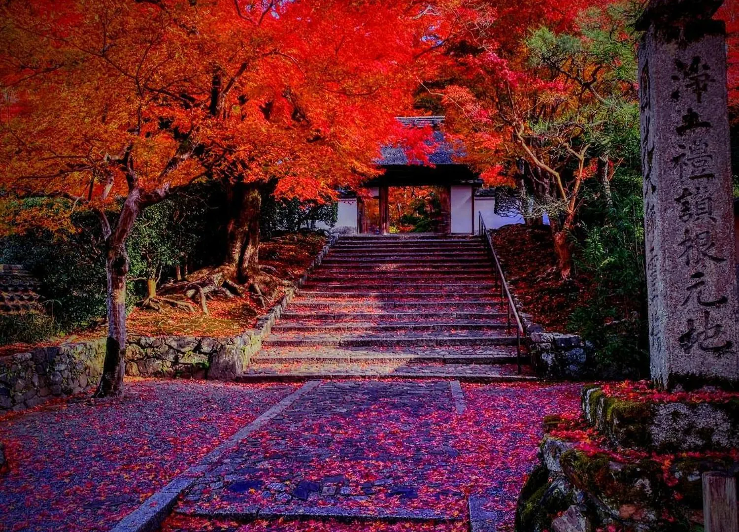 Hostel International Guest House Tani House Kyoto