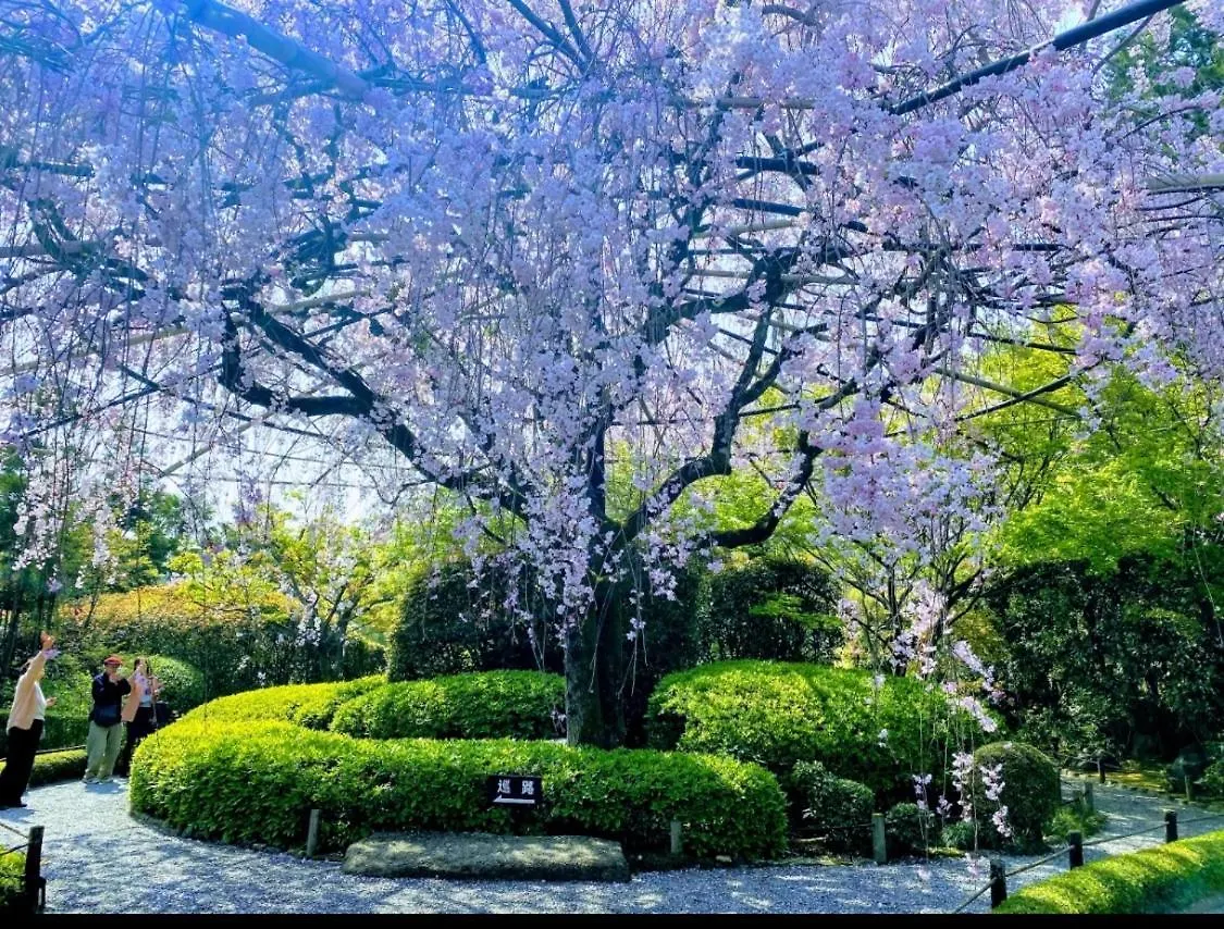 International Guest House Tani House Kioto Hostal