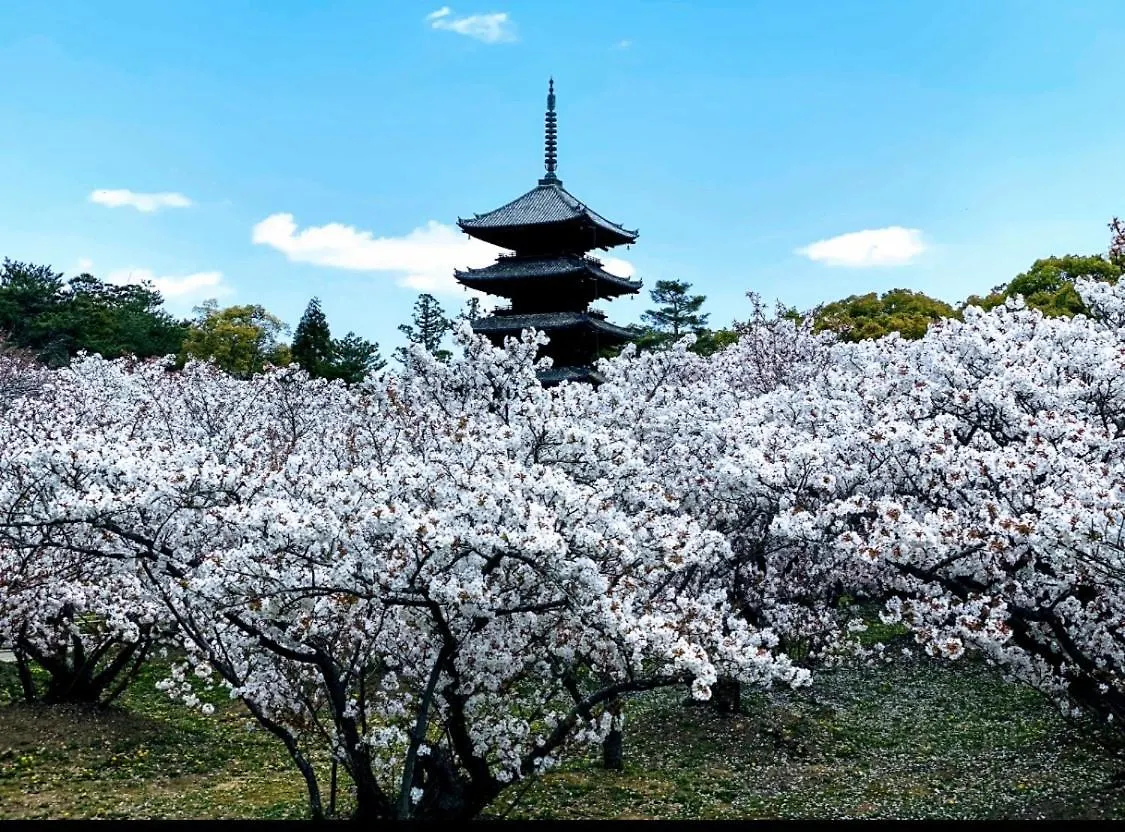 Hostal International Guest House Tani House Kioto