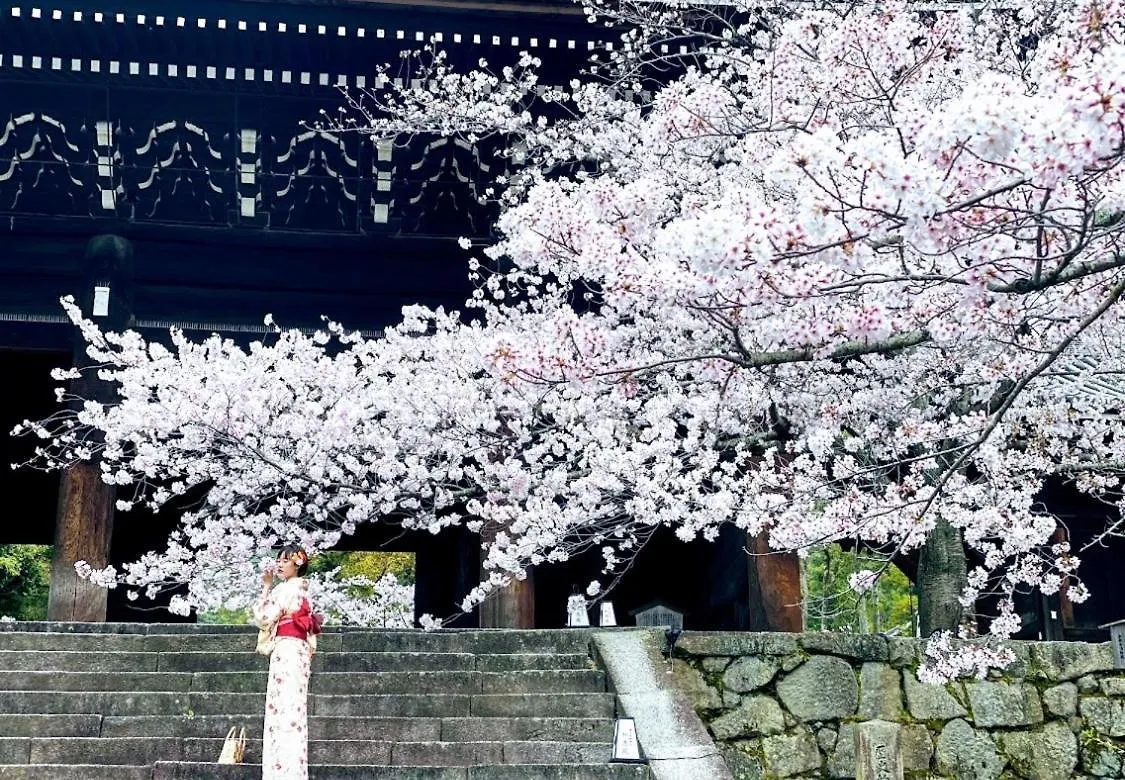 International Guest House Tani House Kyoto Japan
