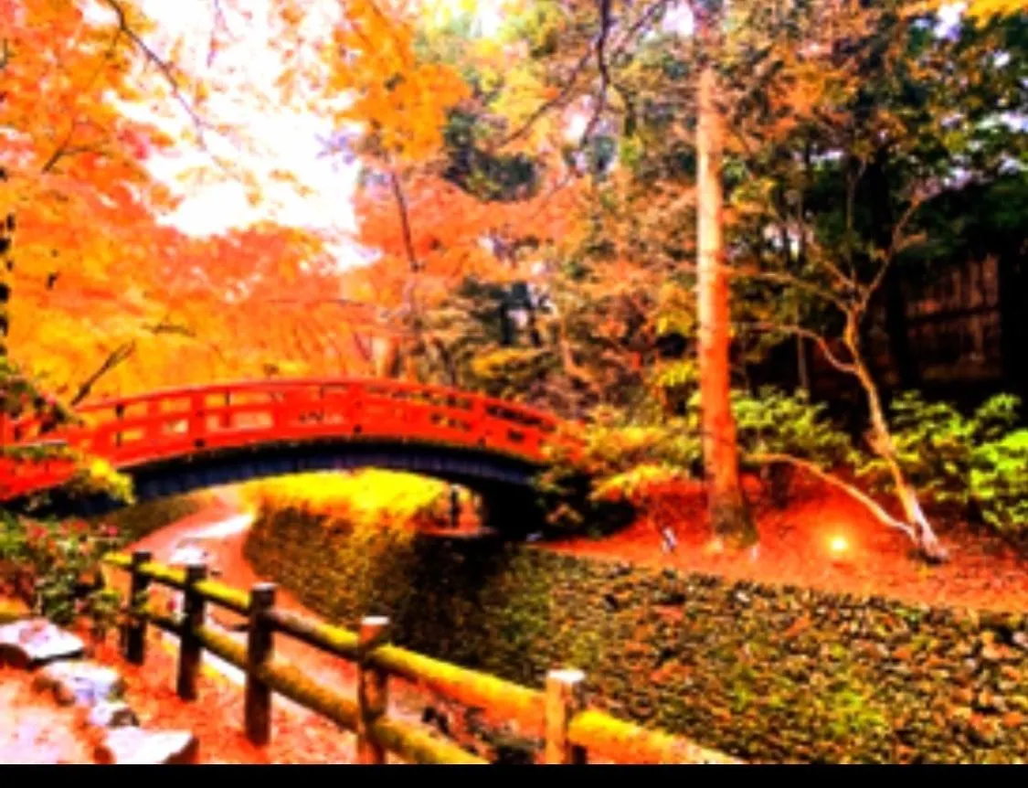 International Guest House Tani House Kioto Japón