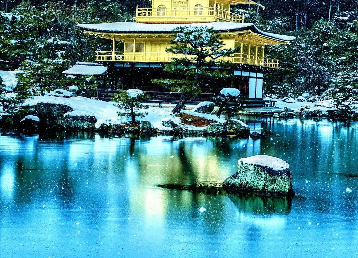 International Guest House Tani House Kioto Hostal