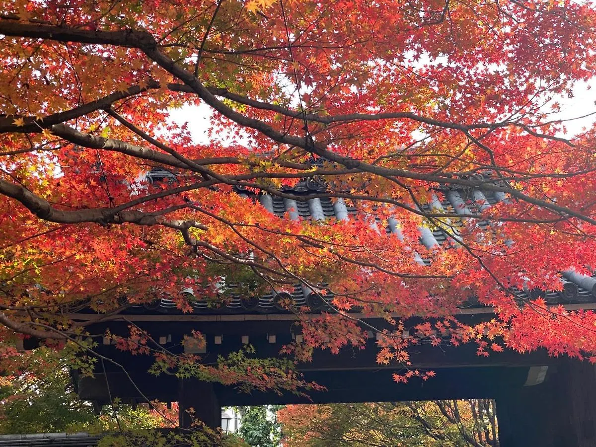 International Guest House Tani House Kyoto