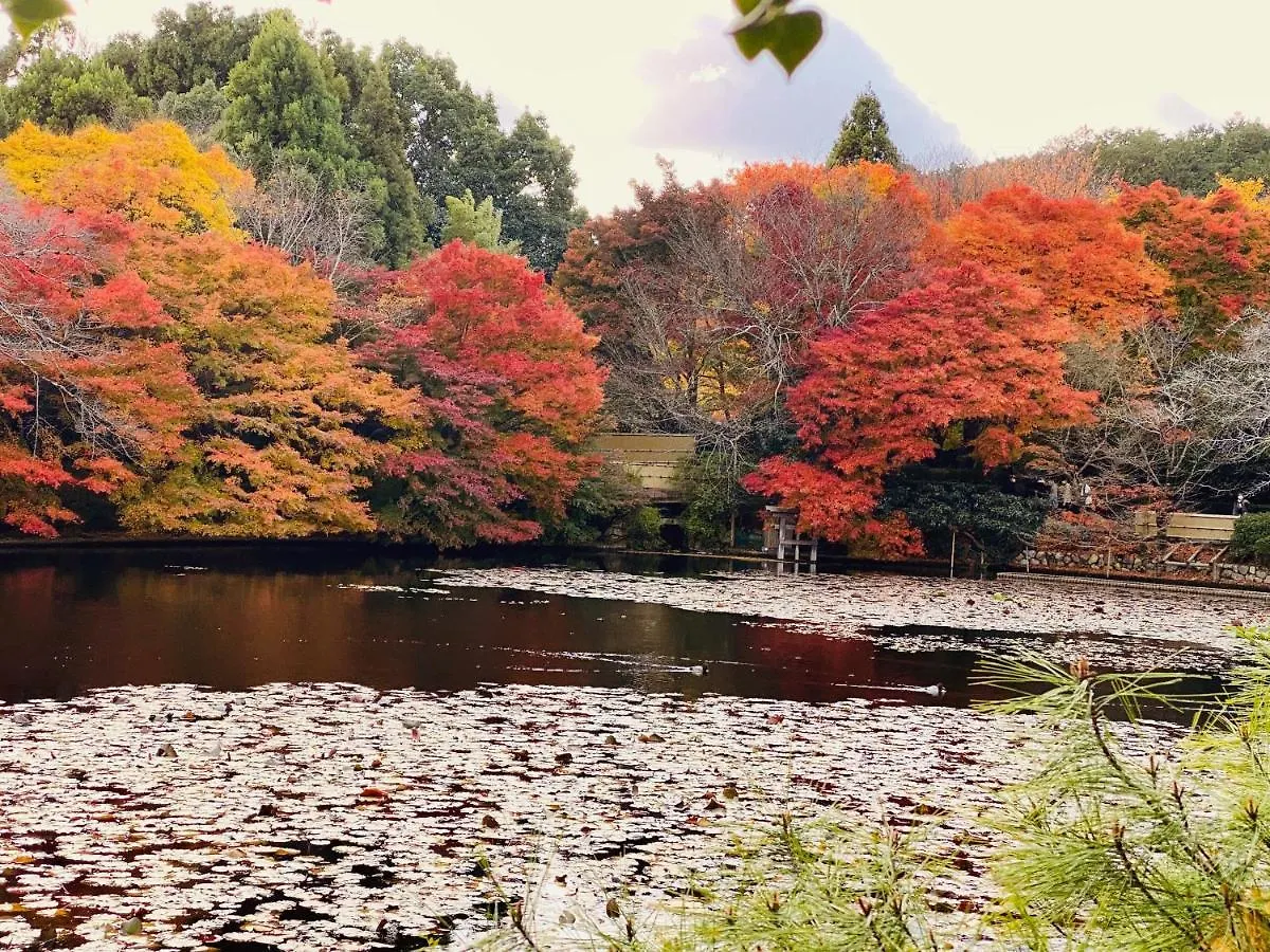 京都 塔尼楼国际宾馆旅舍 日本