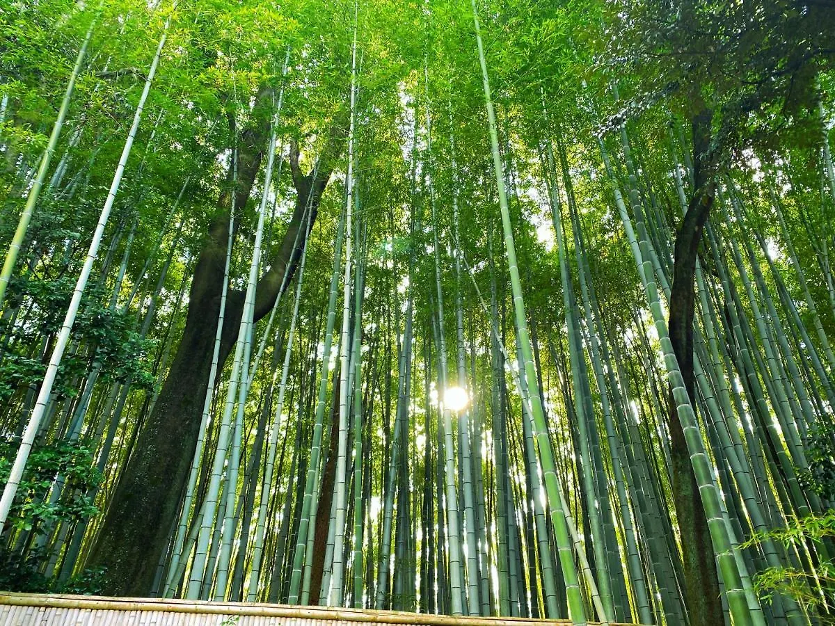 International Guest House Tani House Kyoto Hostel