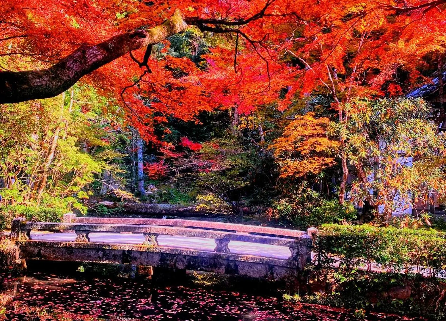 International Guest House Tani House Kyoto 0*,  Japan