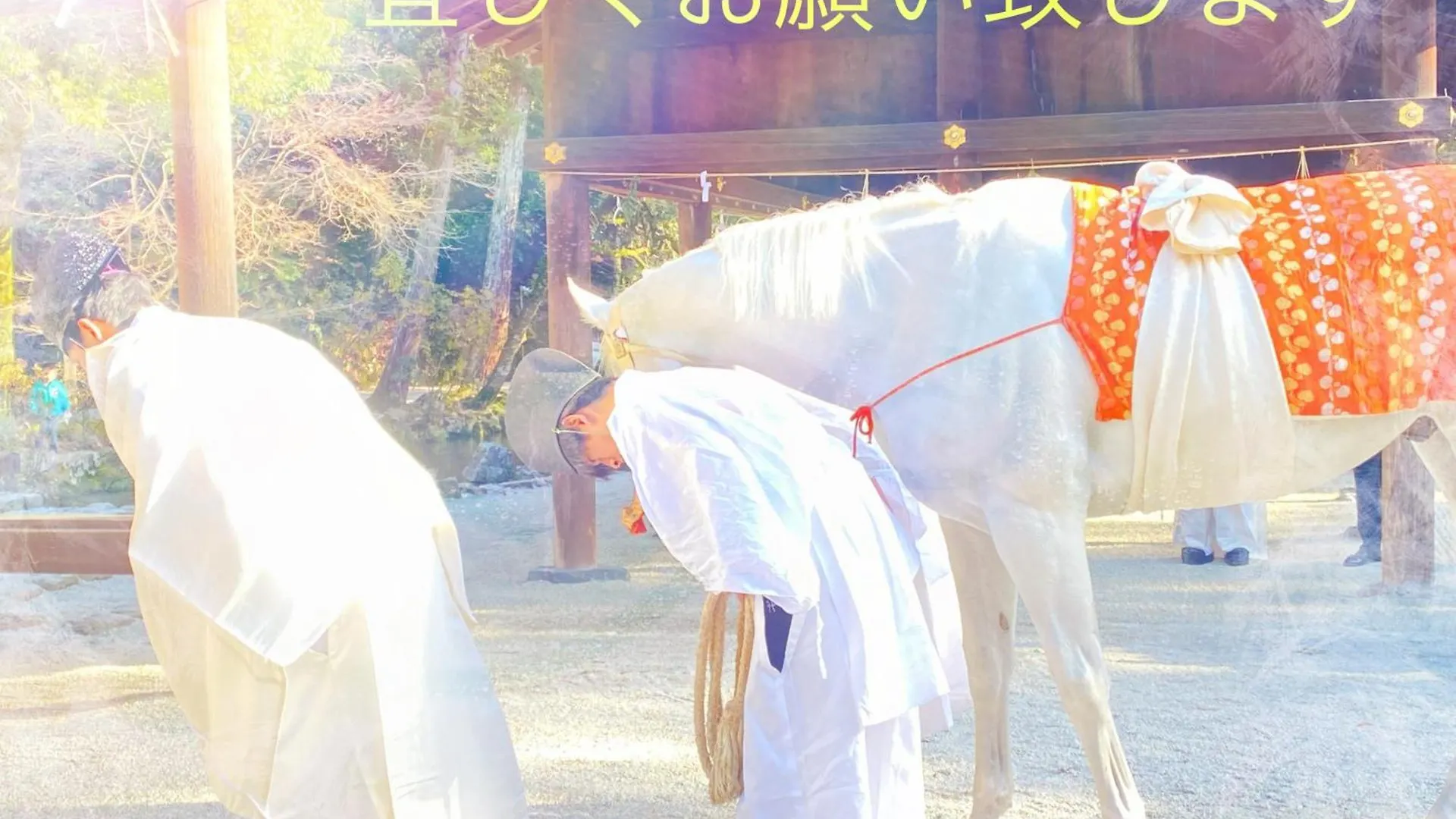 International Guest House Tani House Kyoto 0*,